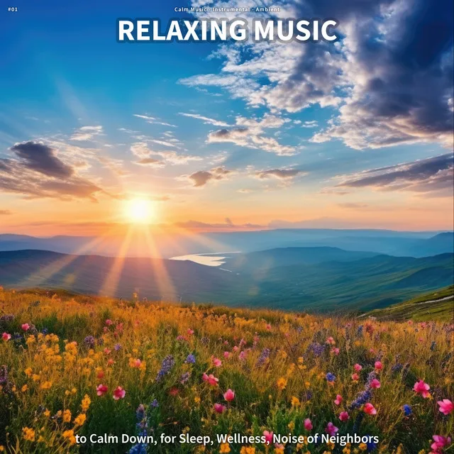 #01 Relaxing Music to Calm Down, for Sleep, Wellness, Noise of Neighbors