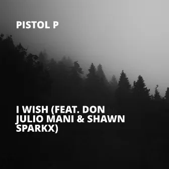 I Wish by Pistol P