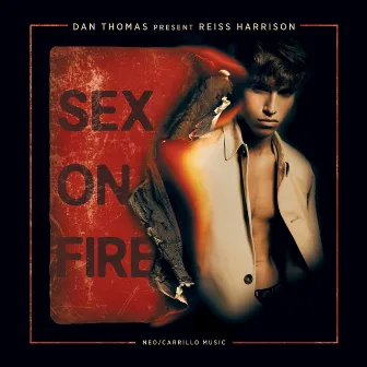 Sex on Fire (Remixes) by Dan Thomas