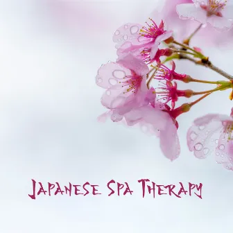 Japanese Spa Therapy (Japanese Shiatsu, Amma Massage, Kobido Relaxation, Oriental Serenity) by World of Spa Massages