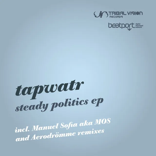 Steady Politics - original mix