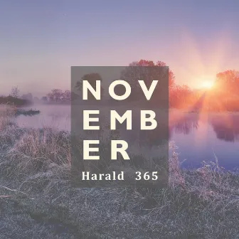 November 365 by Harald 365