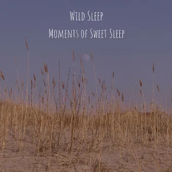 Moments of Sweet Sleep by Wild Sleep