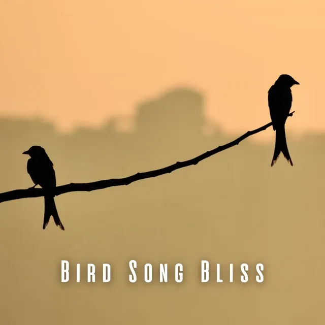 Bird Song Bliss: Binaural Spa Melodies for Stress Relief