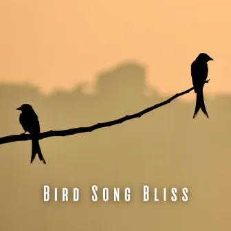 Bird Song Bliss: Binaural Spa Melodies for Stress Relief by Unknown Artist