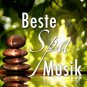 Beste Spa Music: Entspann New Age klingt für Angst und Stress in Ihrem Leben zu kämpfen mit Regen, Wellen, Wind und Tierstimmen by Renovated Akropolis