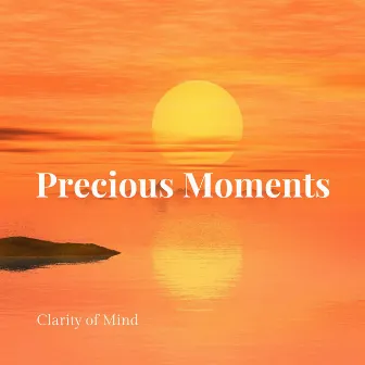 Precious Moments by Clarity of Mind