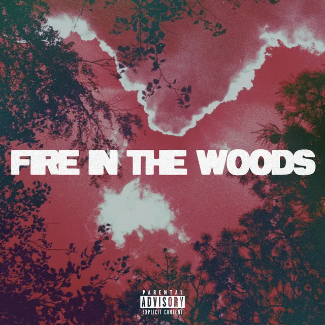 Fire In The Woods