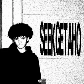 SEEKGETAHO by MTBF