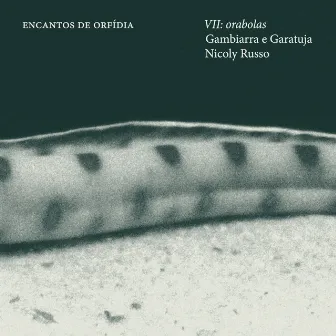 VII: Orabolas by Encantos de Orfídia