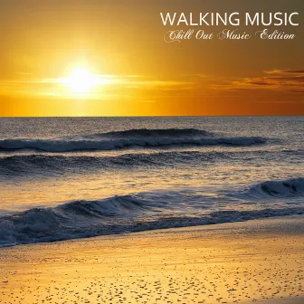 Walking Music Chill Out Fitness Music Sessions Vol.2 Training Music for Walking and Running Chill Sport Music Chillout Relaxing Music Edition by Unknown Artist