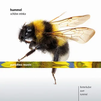 Hummel: Schöne Minka by Christopher Hinterhuber