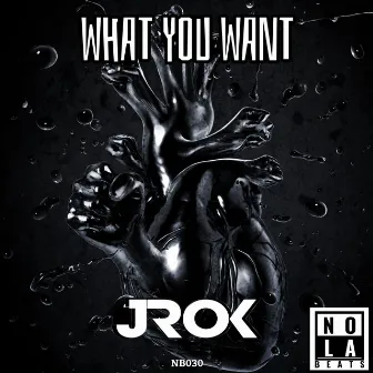 WHAT YOU WANT by Jrok