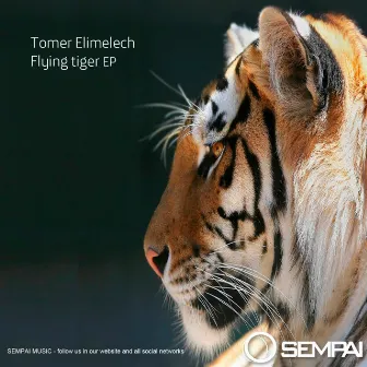 Flying Tiger EP by Tomer Elimelech