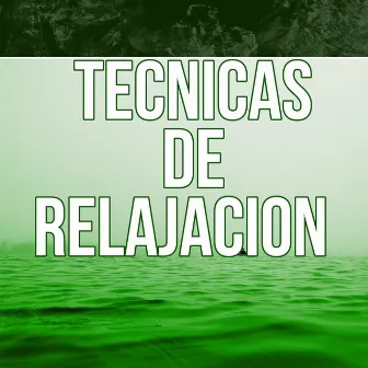 Tecnicas de Relajacion - Música New Age para la Relajación, Masaje Shiatsu, Meditar con Sonidos de la Naturaleza, Energía Positiva para Controlar la Ansiedad, Sonidos del Mar para Dormir, Masoterapia by Unknown Artist