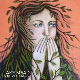 Lake Mead by Aja Volkman