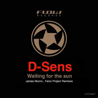 Waiting for the Sun by D.Sens