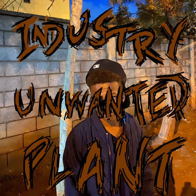 Industry Unwanted Plant