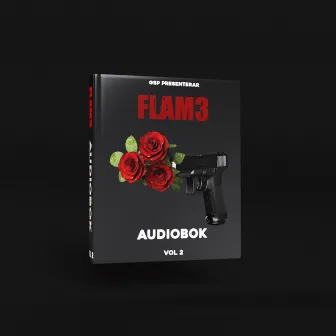 AudioBok, Vol. 2 by Flam3