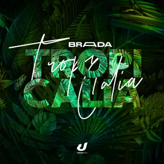 Tropicalia by Brada