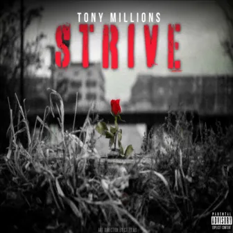 Strive by Tony Millions