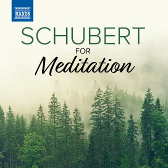 Schubert For Meditation by Budapest Failoni Chamber Orchestra