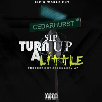 Turn Up a Little by Sip