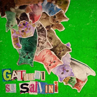 Gattini su Salvini by Magellano