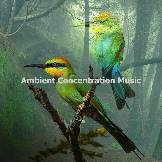 Ambient Concentration Music