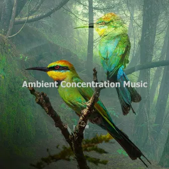 Ambient Concentration Music by Sacred Nature