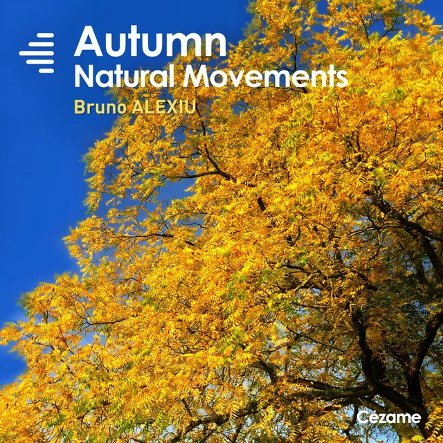 Natural Movements: Autumn