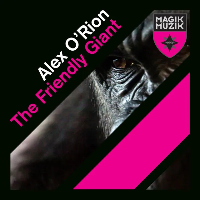 The Friendly Giant - Rolando Vallice Remix