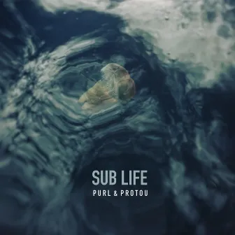 Sub Life by protoU