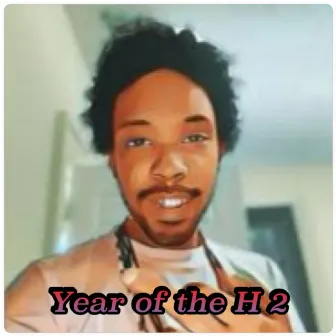 Year of the H 2 by Hamo grime