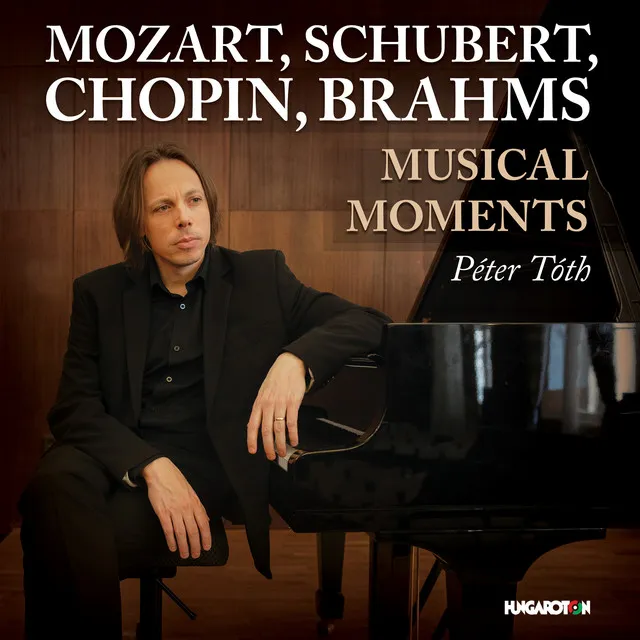 6 Moments musicaux, Op. 94, D. 780: No. 5, Allegro vivace