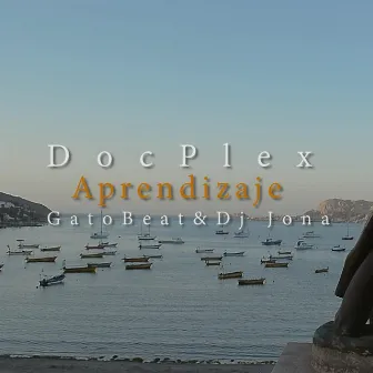 Aprendizaje by Docplex