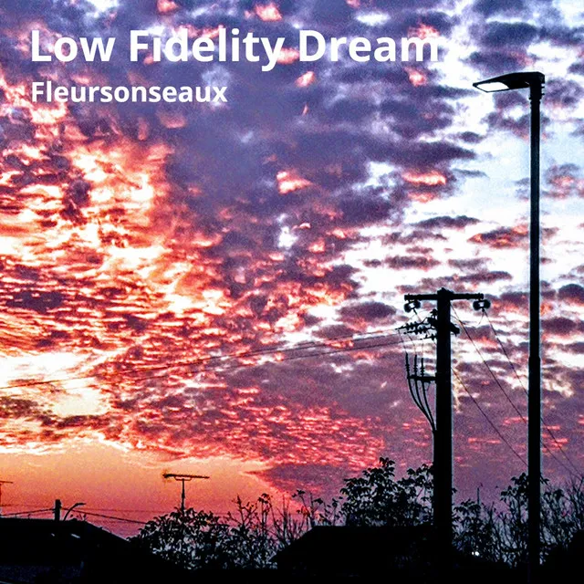 Low Fidelity Dream