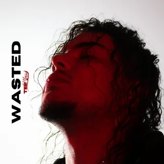 Wasted by Tee Melly