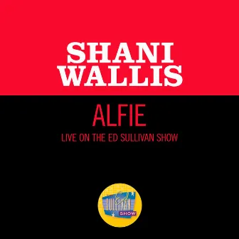 Alfie (Live On The Ed Sullivan Show, May 12, 1968) by Shani Wallis