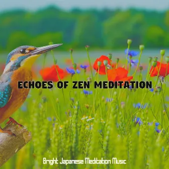 Echoes of Zen Meditation by 