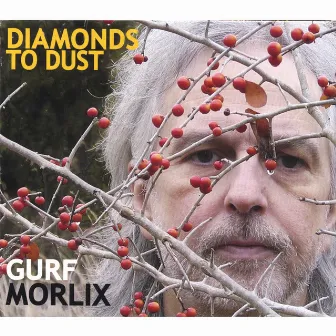 Diamonds To Dust by Gurf Morlix