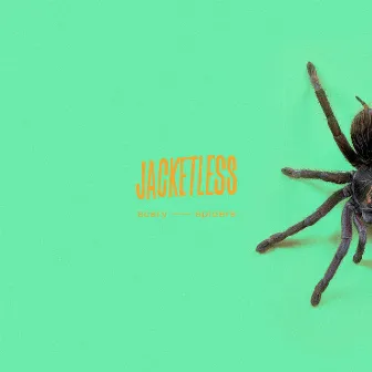 Scary Spiders by Jacketless