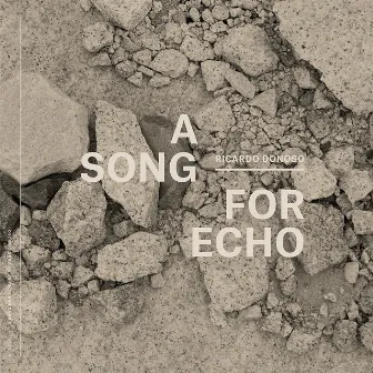 A Song For Echo by Ricardo Donoso