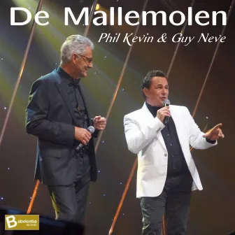 De mallemolen by Guy Neve