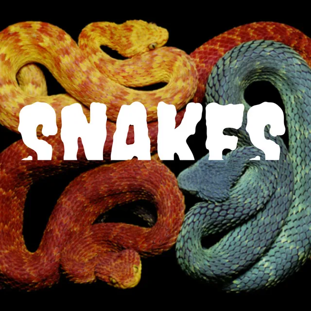 Snakes