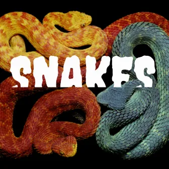 Snakes by Rugo Reefy