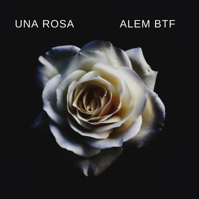 Una Rosa