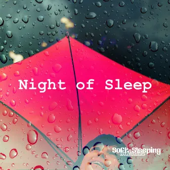 Night of Sleep by Soft Sleeping Melodies