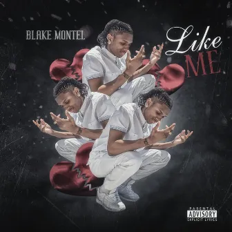 Like Me by Blake Montel