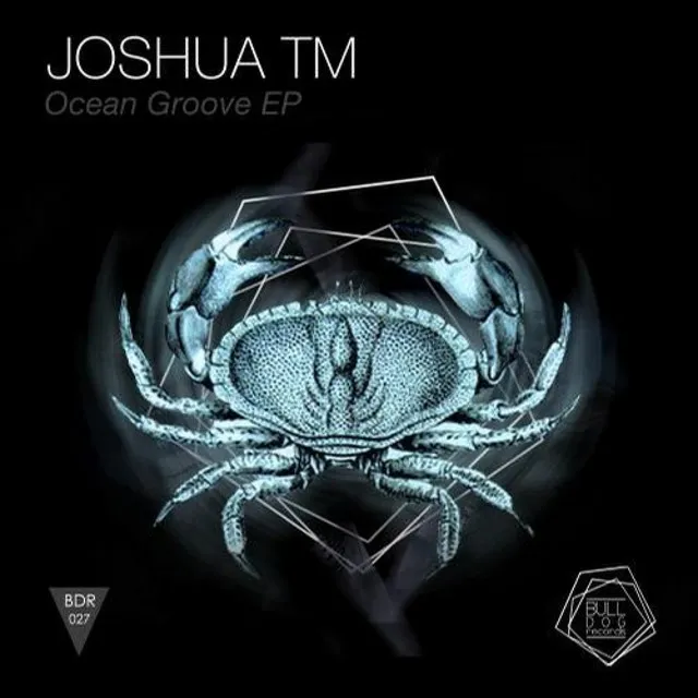 Ocean Groove - Mike TNDX Remix